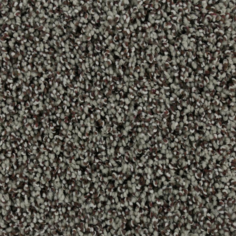 Texture Steambath Gray Carpet