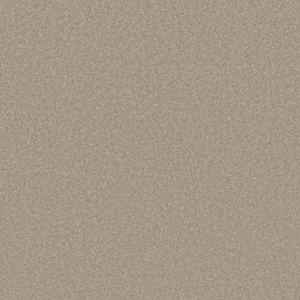 Texture Stucco Beige/Tan Carpet