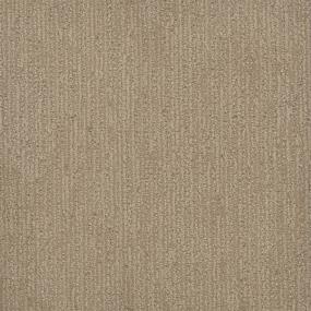 Pattern Highpoint Beige/Tan Carpet