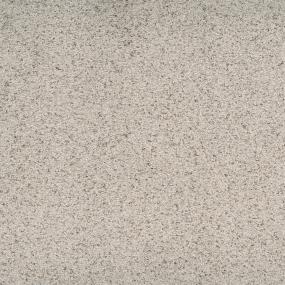 Textured Saxony Gallant Beige/Tan Carpet