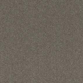 Pattern Bearskin Brown Carpet