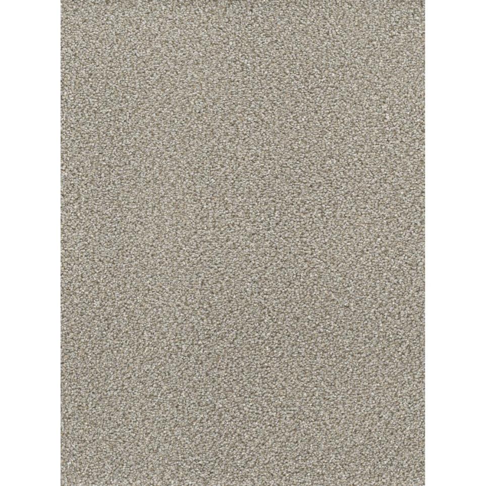 Textured Saxony Wishing Well Beige/Tan Carpet