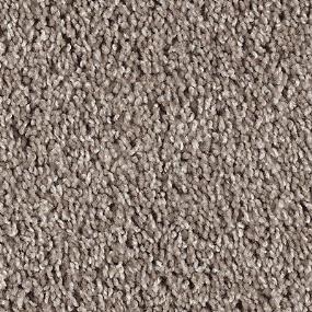 Dusk Beige/Tan Carpet