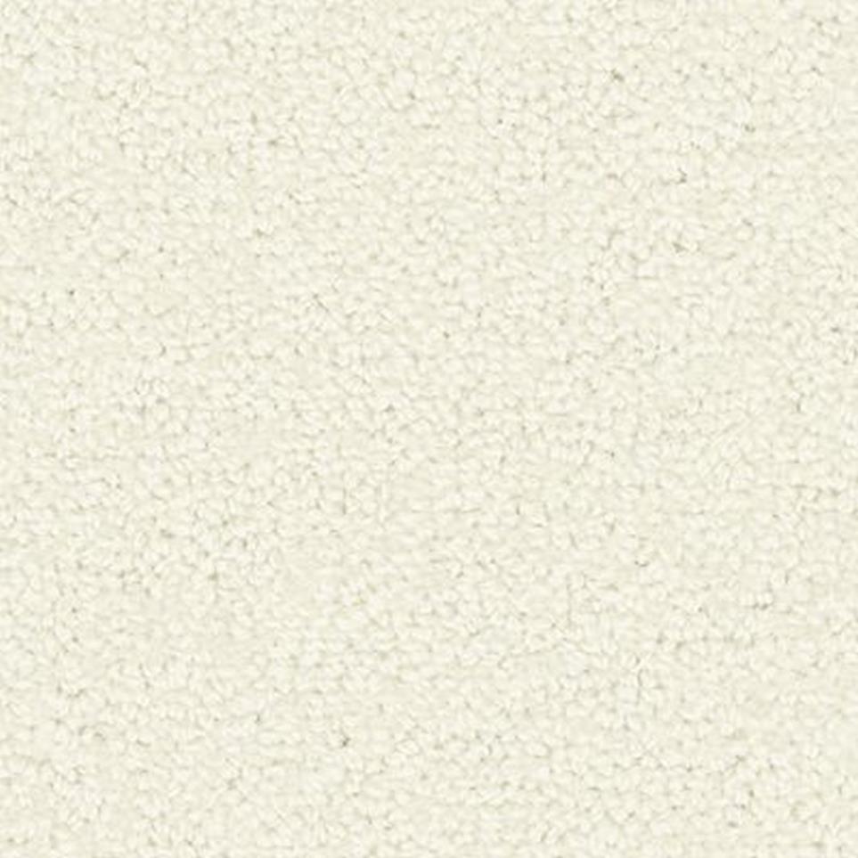 Pattern Fine White White Carpet