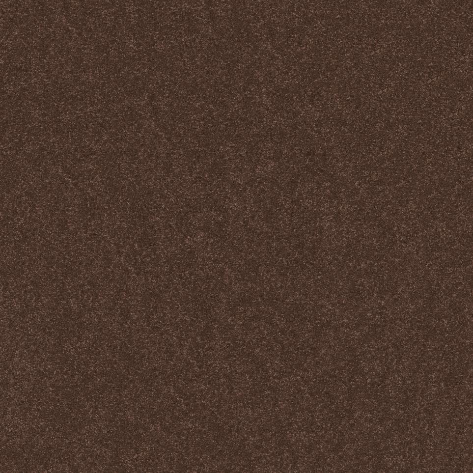 Texture Regal Brown Carpet