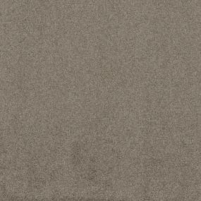 Textured Saxony High Style Beige/Tan Carpet