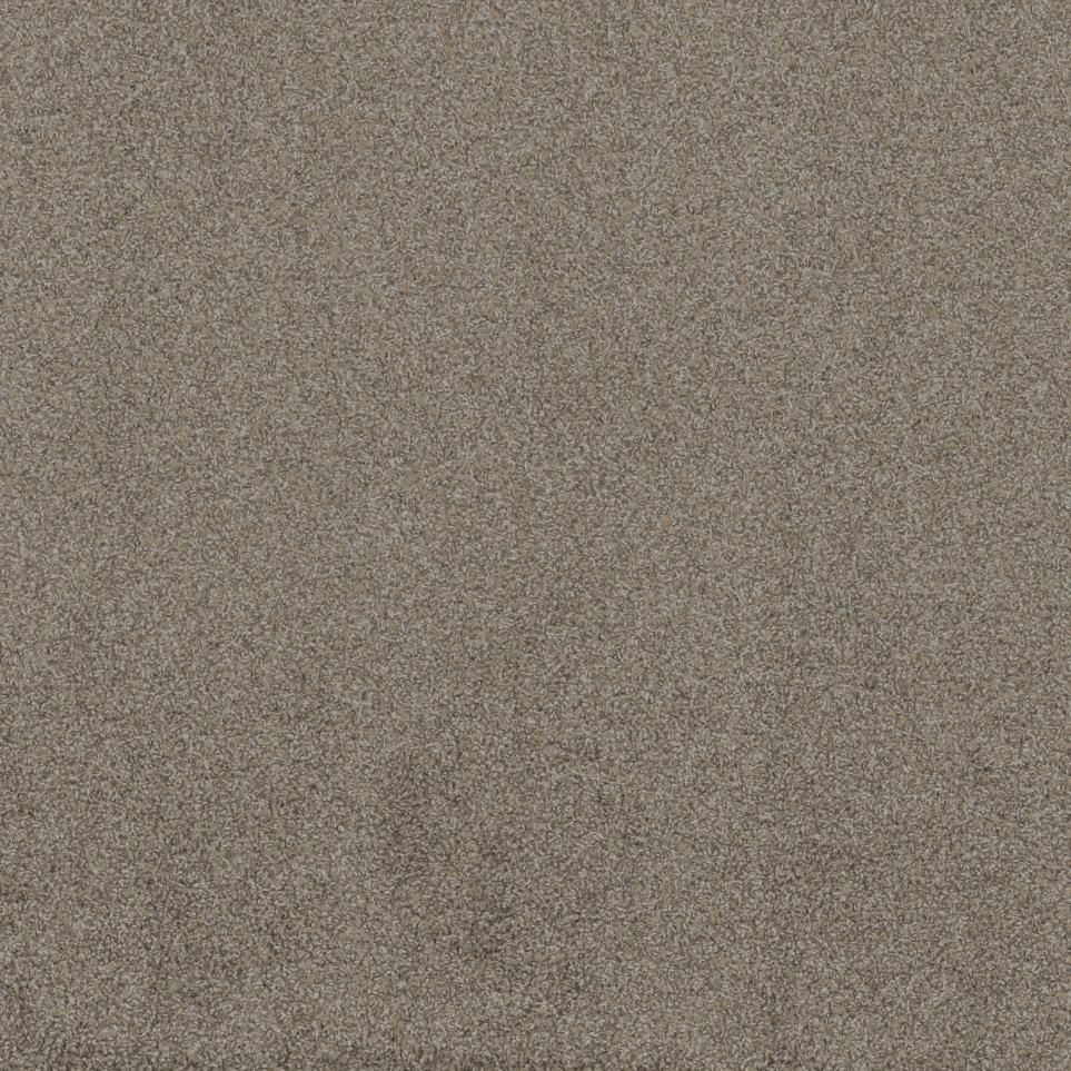 Texture High Style Beige/Tan Carpet