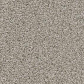 Texture Grace Beige/Tan Carpet