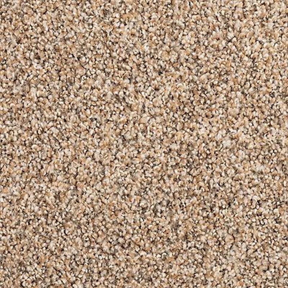 Textured Saxony ASHEN TAUPE Beige/Tan Carpet