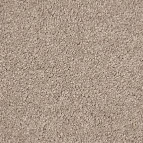 Textured Saxony Khaki Beige/Tan Carpet