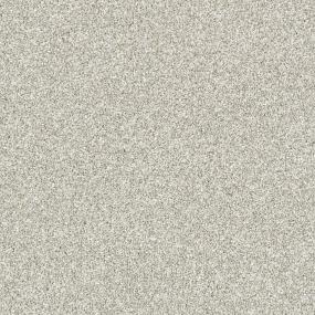 Textured Saxony Exotic Sand Gray Carpet