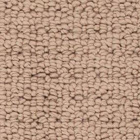 Loop Sienna Brown Carpet