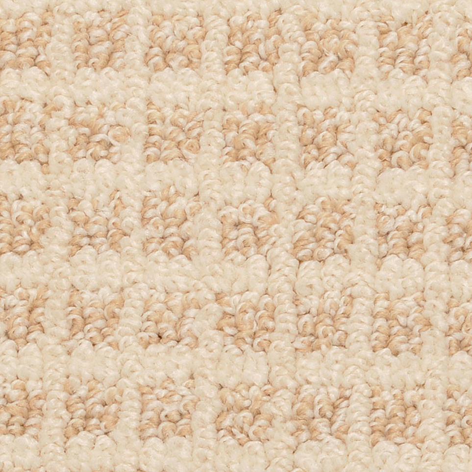 Pattern Pixie  Carpet