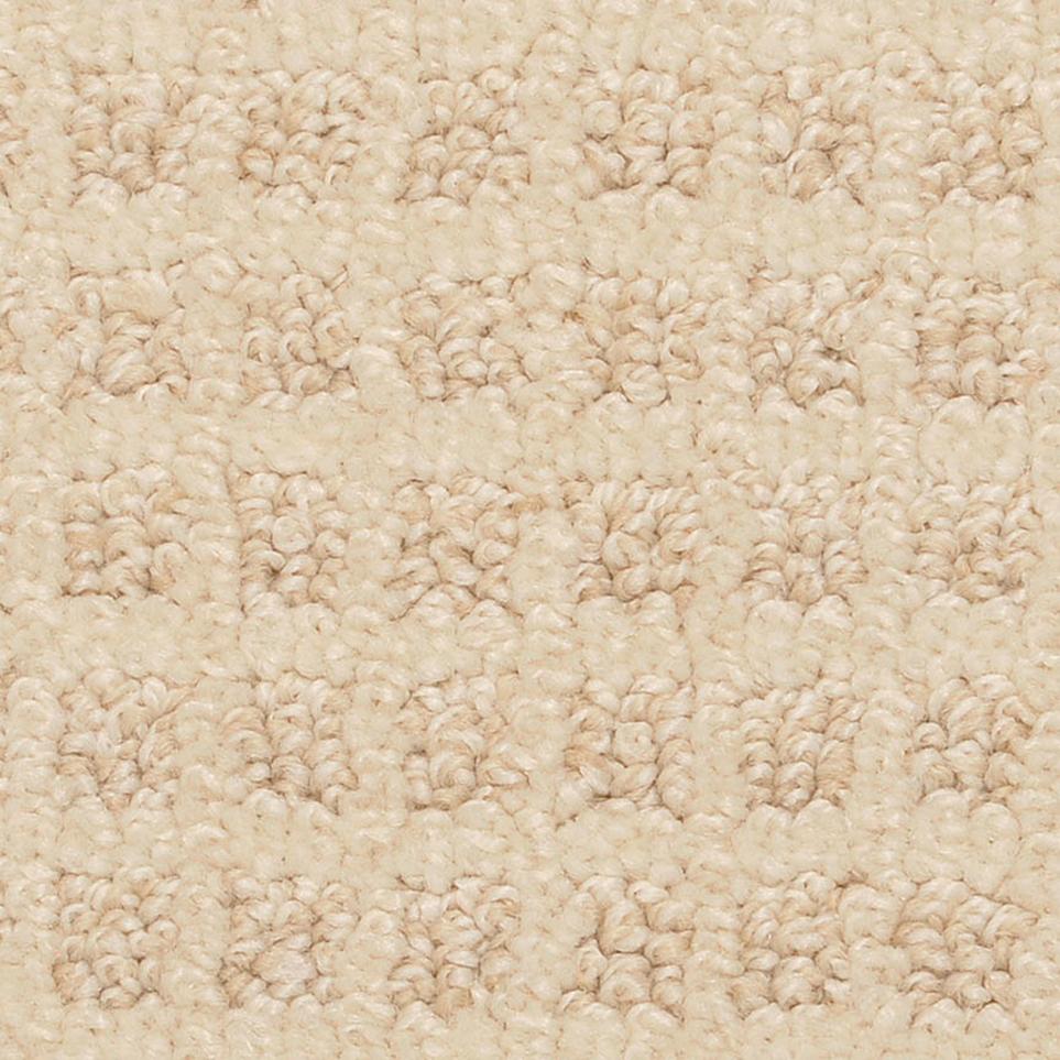 Pattern Grullo Beige/Tan Carpet