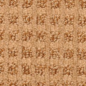 Pattern Wildwood Beige/Tan Carpet