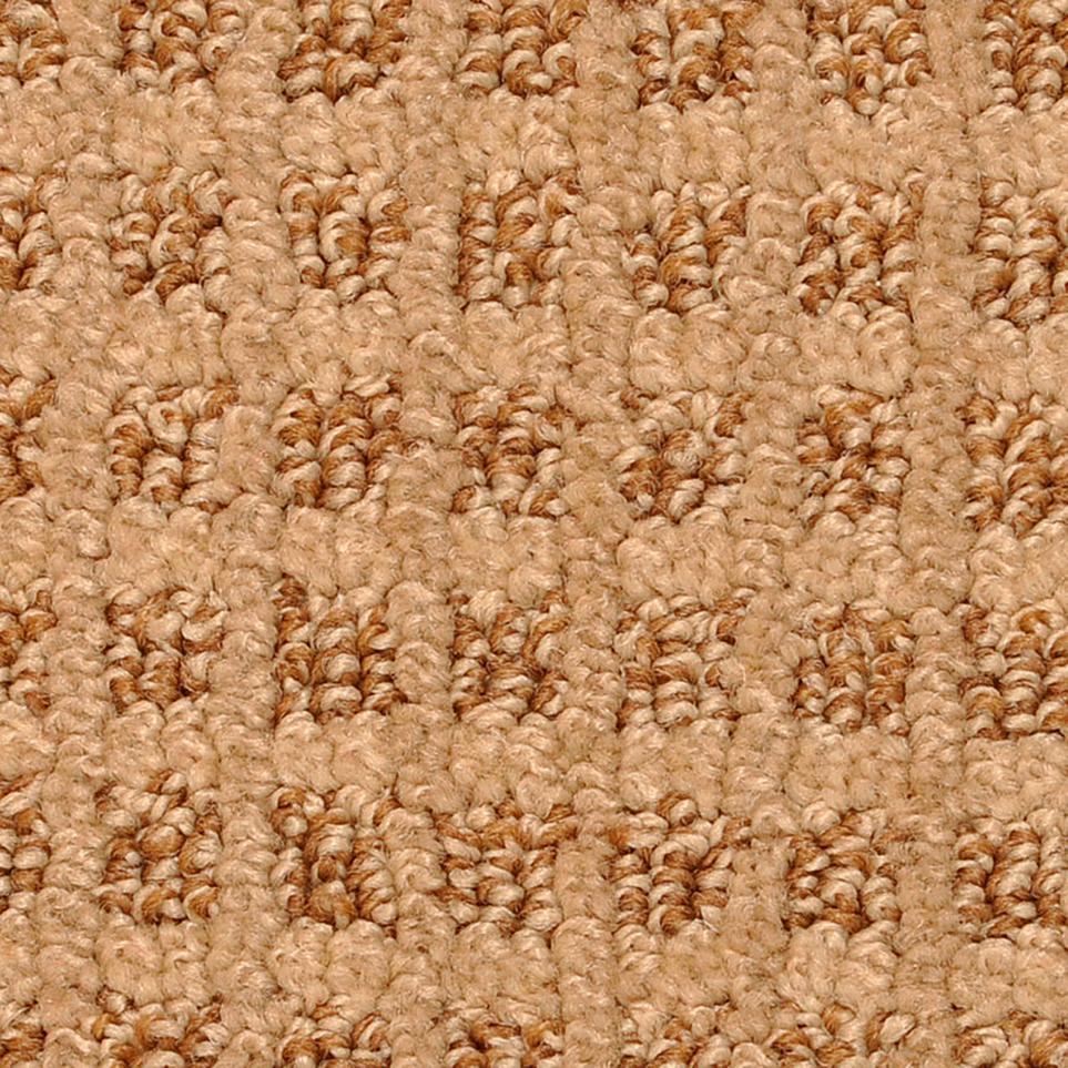 Pattern Wildwood  Carpet