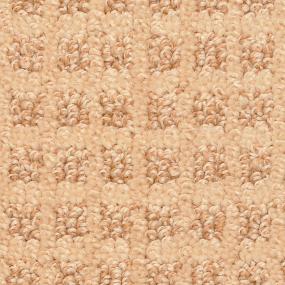 Pattern Ginger Beige/Tan Carpet