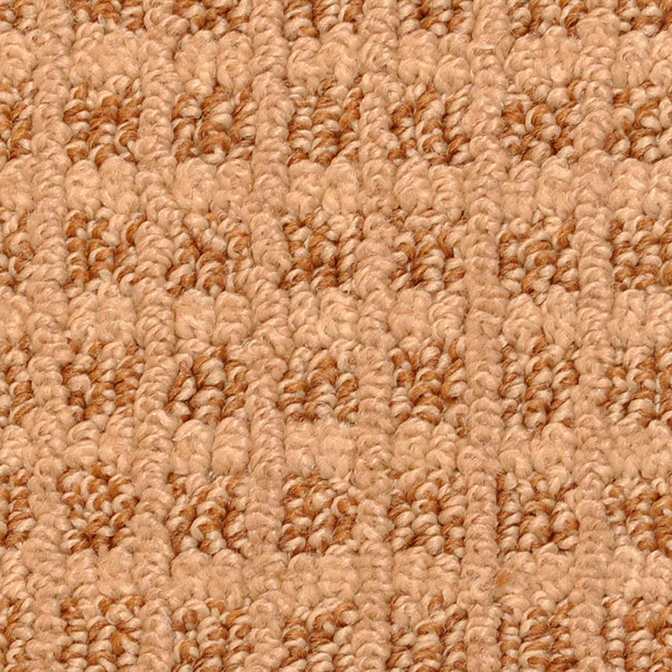 Pattern Aztec Orange Carpet