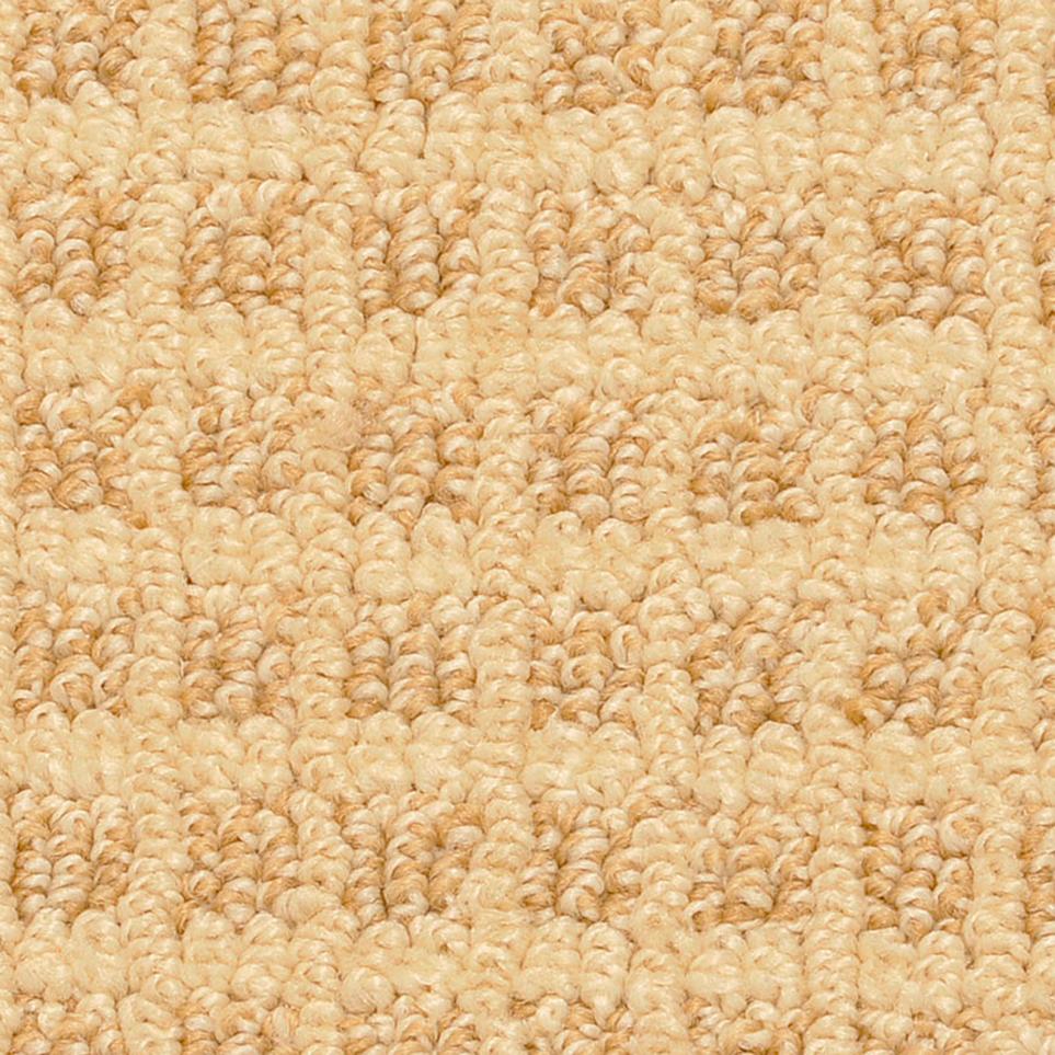 Pattern Mellow Yellow Carpet