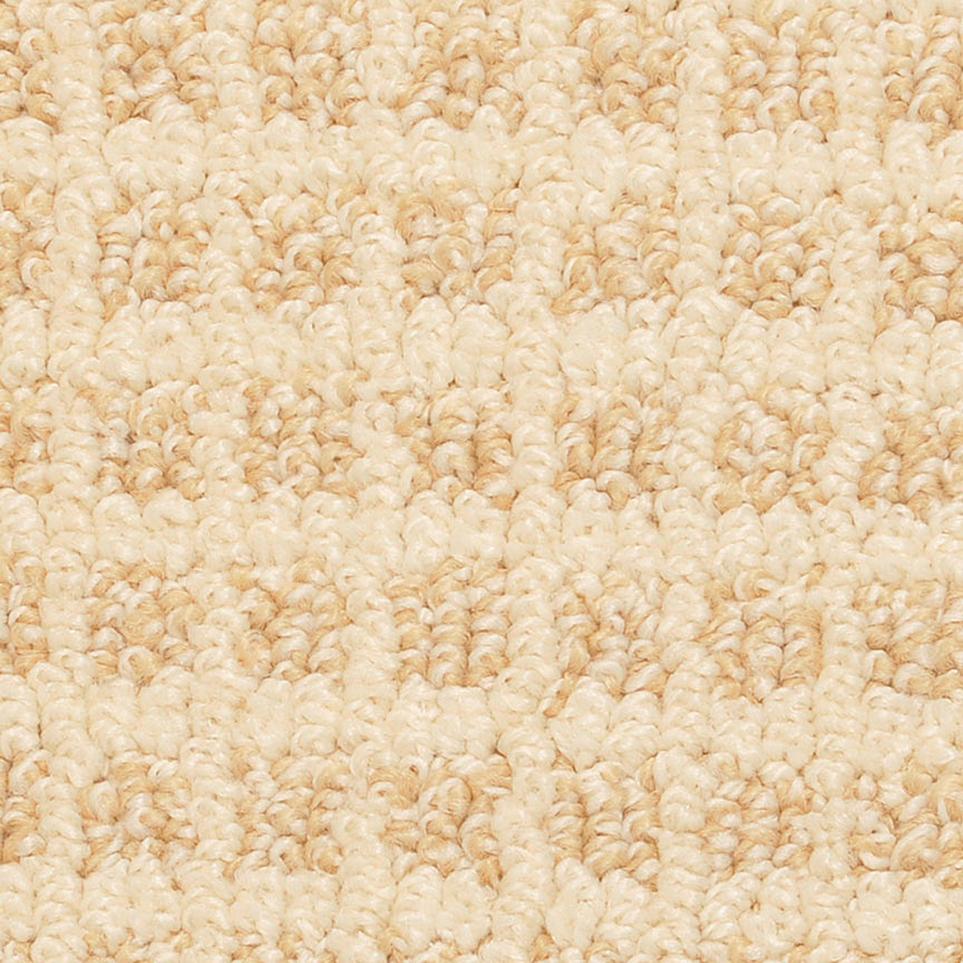 Pattern Canery Beige/Tan Carpet