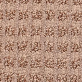 Pattern Flattery Brown Carpet
