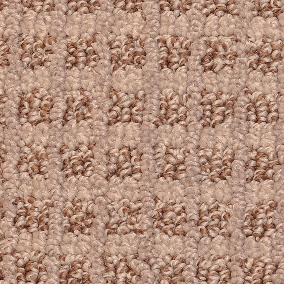 Pattern Flattery Brown Carpet