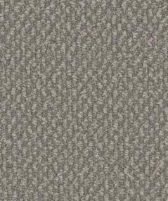 Loop Freeport Gray Carpet
