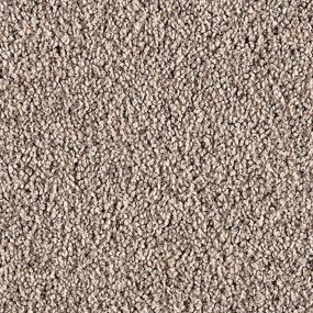 Textured Saxony Dapper Beige/Tan Carpet