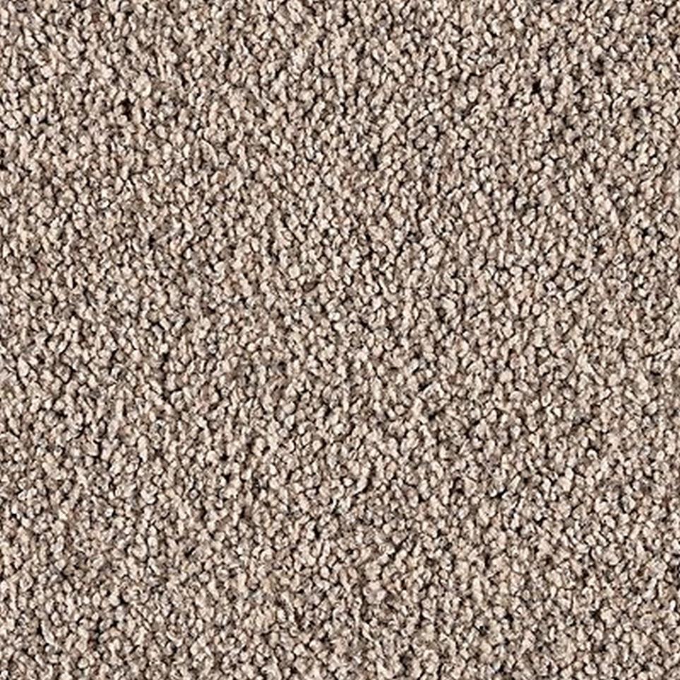 Textured Saxony Dapper Beige/Tan Carpet