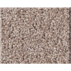 Cut Pile Toasty Warm Brown Carpet