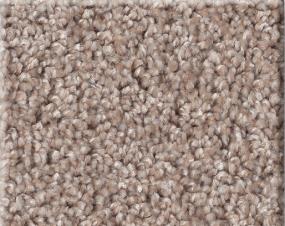 Cut Pile Toasty Warm Brown Carpet