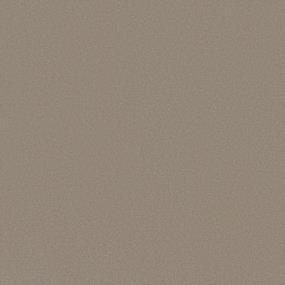 Textured Saxony Tradition Beige/Tan Carpet