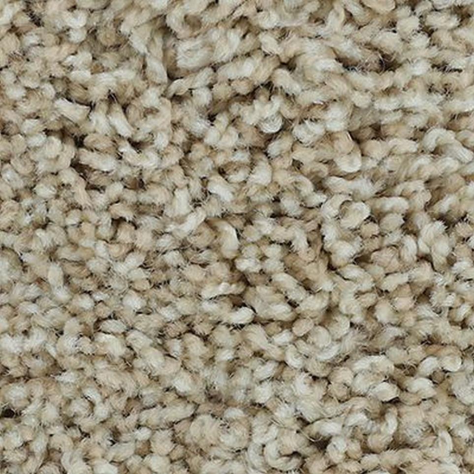 Textured Saxony Bashful Beige/Tan Carpet