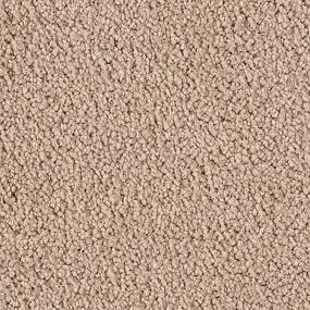 Cut Pile Jute Beige/Tan Carpet