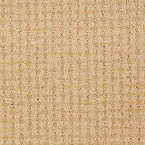 Texture Ride Out Beige/Tan Carpet