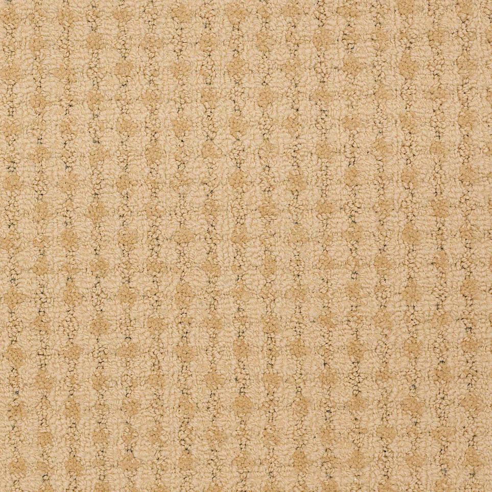 Texture Ride Out Beige/Tan Carpet