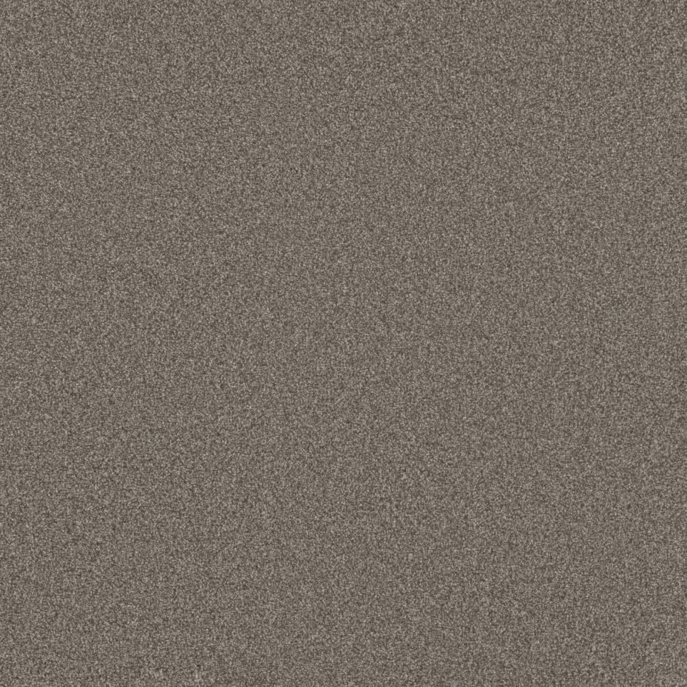 Texture Authentic Brown Carpet