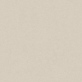 Textured Saxony Misty Dawn Beige/Tan Carpet