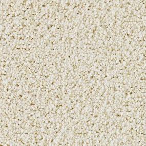 Textured Saxony Ancestral Beige/Tan Carpet