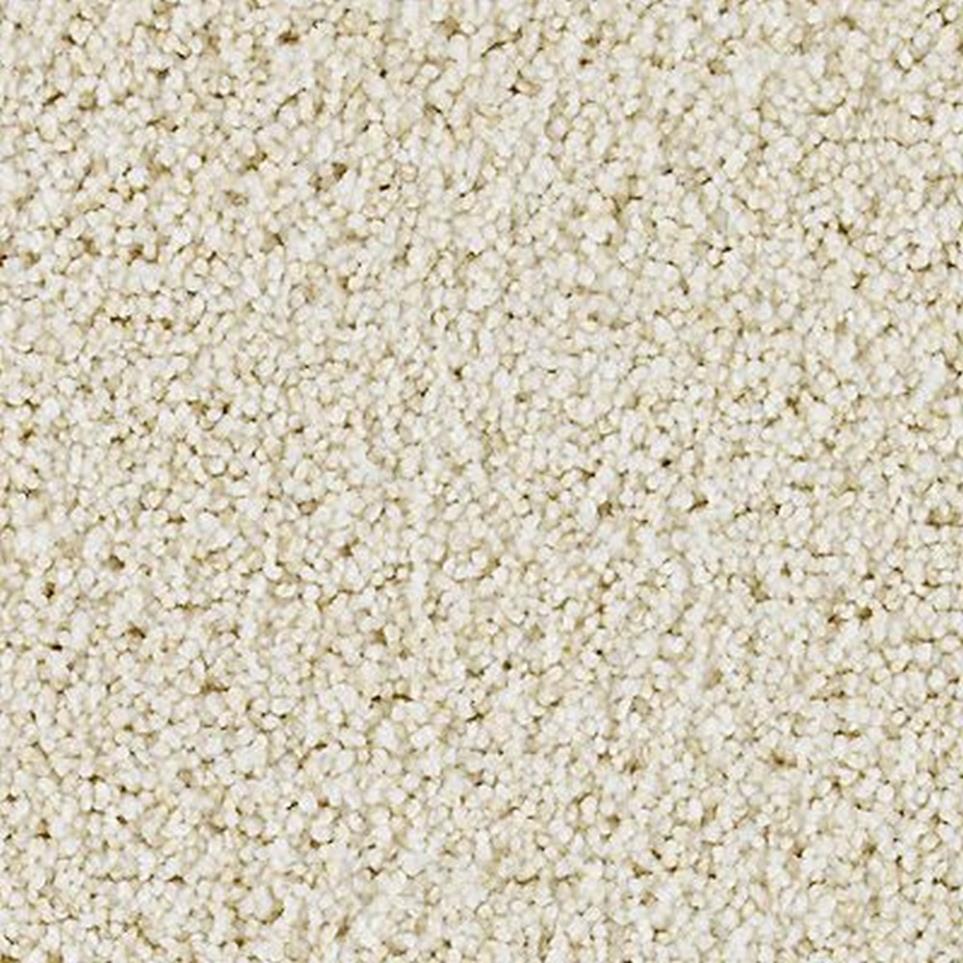 Textured Saxony Ancestral Beige/Tan Carpet