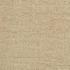 Pattern Studio Beige/Tan Carpet