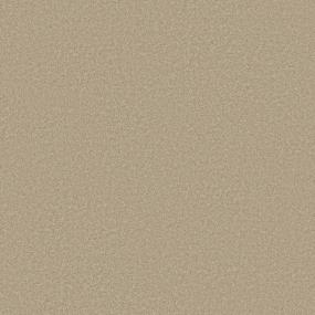 Texture Safari Beige/Tan Carpet