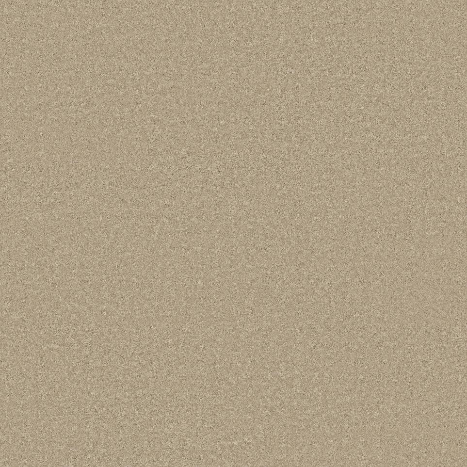 Texture Safari Beige/Tan Carpet