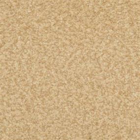 Casual Texture Bamboo Beige/Tan Carpet