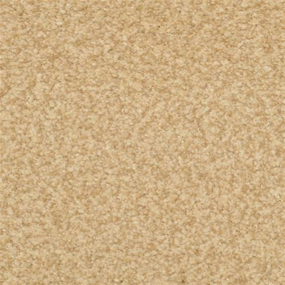 Casual Texture Bamboo Beige/Tan Carpet