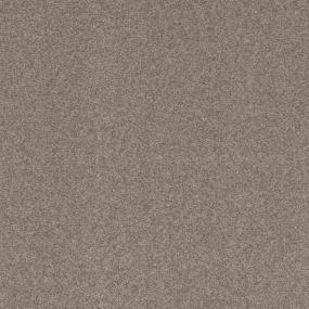 Textured Saxony Irish Cream Beige/Tan Carpet