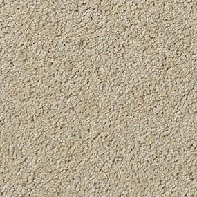 Textured Saxony Durango Brown Carpet