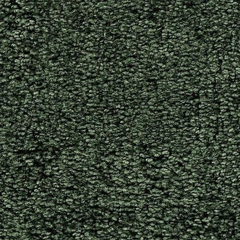 Textured Saxony Pondscape Green Carpet