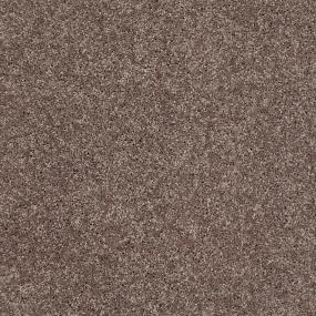 Textured Saxony Stonington Brown Carpet