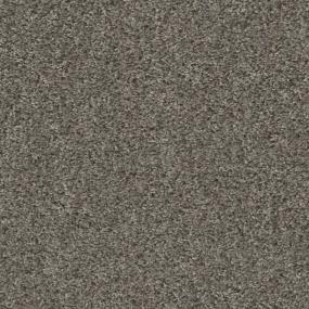 Textured Saxony Truffle Brown Carpet